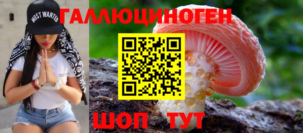 купить наркоту  Галлюциногенные грибы мухоморы  Вход с VPN  Ревда 